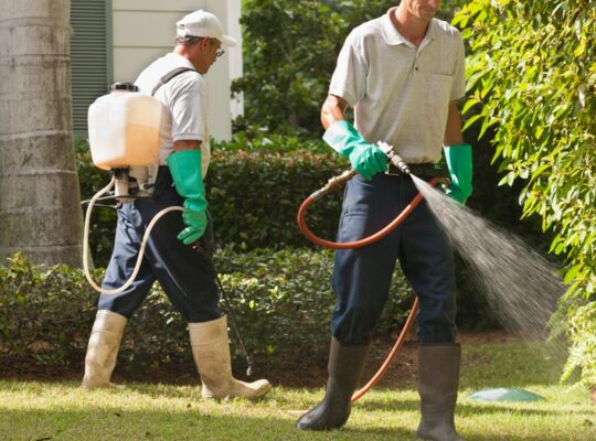 الجزيرة للاعلانات