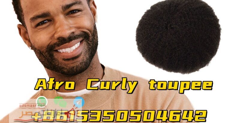 Q6 Lace Toupee Men Indian Human Hair Male Wig what