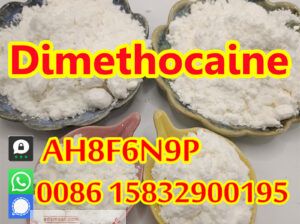 Buy Dimethocaine hcl 553-63-9 dimethocaine powder