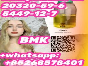 sell like hot cakes Bmk powder/oil 20320-59-6 5449