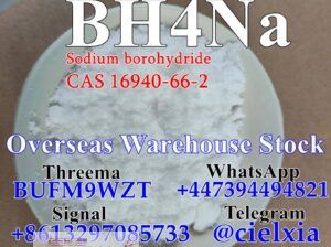 BH4Na Sodium borohydride CAS 16940-66-2 with Top Q