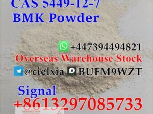 CAS 5449-12-7 BMK Powder BMK Glycidic Acid (sodium