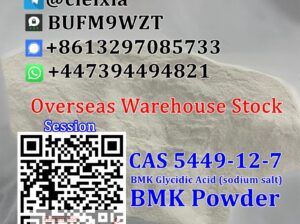 Cheap Price CAS 5449-12-7 New BMK Powder BMK Glyci