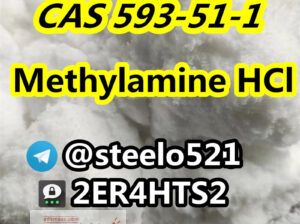 Methylamine hcl cas 593-51-1