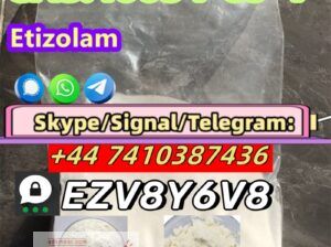 Etizolam CAS:40054-69-1