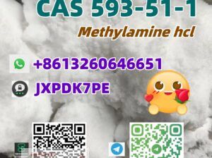 CAS 593-51-1 Methylamine hcl high quality best sel