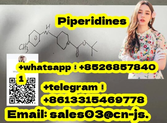 top supplier Piperidines