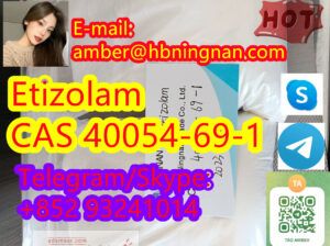 Hot Sell High Quality Etizolam CAS 40054-69-1