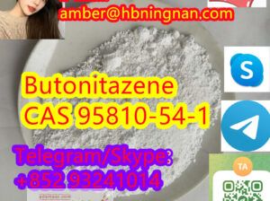 Butonitazene CAS 95810-54-1