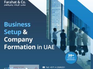 خدمات تأسيس الشركات في دولة الإمارات العربية