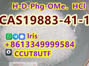 Cas 19883-41-1 H-D-PHG-OME HCL large sale