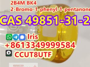 2-Bromo-1-phenyl-1-pentanone Cas 49851-31-2