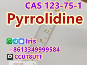 Cas 123-75-1 Pyrrolidine with Factory Price