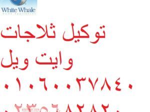 صيانة وايت ويل بمدينة السادات 01220261030