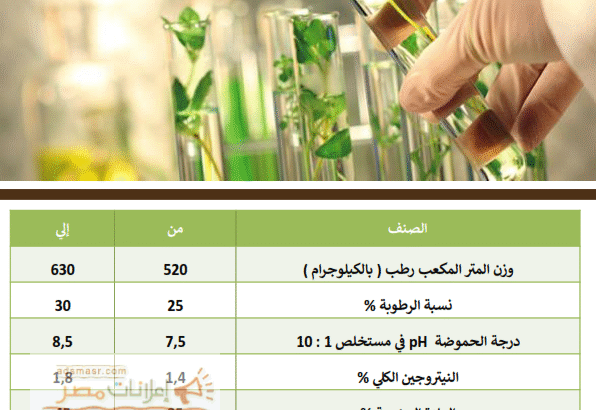 كمبوست نباتى- الزهرة