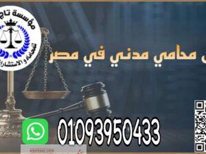 اشهر محامي خبره بمؤسسه تاج الدين للاستشارات القانونيه